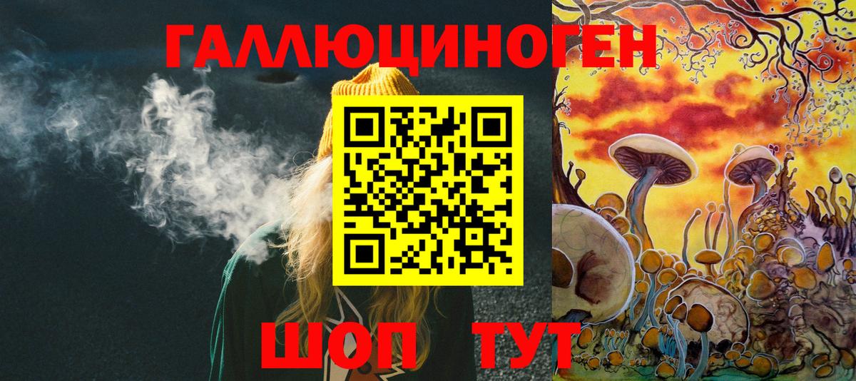 цена   Псилоцибиновые грибы GOLDEN TEACHER  Галлюциногенные грибы Cubensis  Вход с VPN  Новочеркасск 